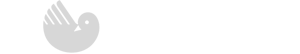 saunier-duval